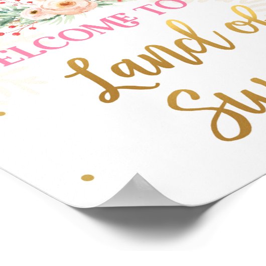 Welkomstland voedingskraker Ballerina Girl Poster (Hoek)