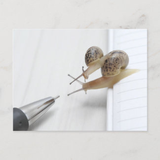 We'll help you study briefkaart