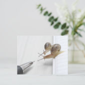 We'll help you study briefkaart (Staand voorkant)