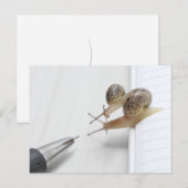 We'll help you study briefkaart (Voorkant / Achterkant)