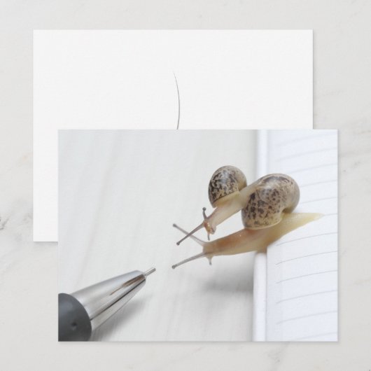 We'll help you study briefkaart (Voorkant / Achterkant)