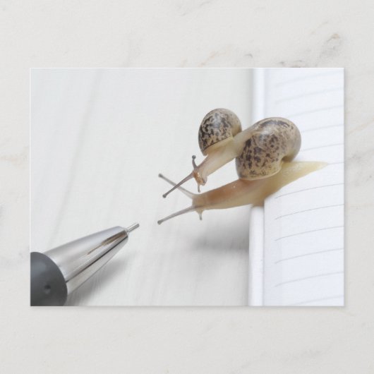 We'll help you study briefkaart (Voorkant)