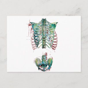 Wellcoda Human Body Rib Cage Skeleton Fun Briefkaart