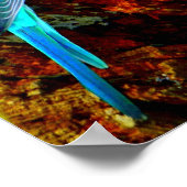 Wellensittiche (Melopsittacus undulatus) Poster (Hoek)