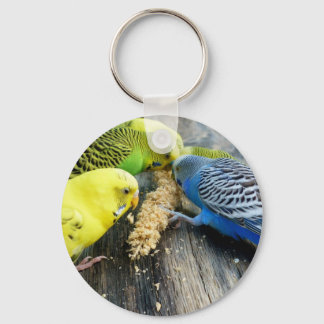 Wellensittiche (Melopsittacus undulatus) Sleutelhanger