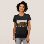 Wellesley College Massachusetts T-shirt (Voorkant volledig)