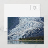 Wellesley Glacier in College Fjord Briefkaart (Voorkant / Achterkant)