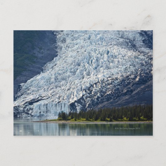 Wellesley Glacier in College Fjord Briefkaart (Voorkant)