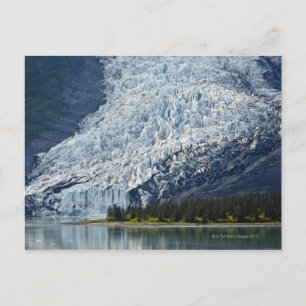 Wellesley Glacier in College Fjord Briefkaart
