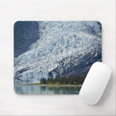 Wellesley Glacier in College Fjord Muismat (Met muis)