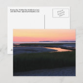 Wellfleet Bay-avondskaap Cape Cod Briefkaart (Voorkant / Achterkant)