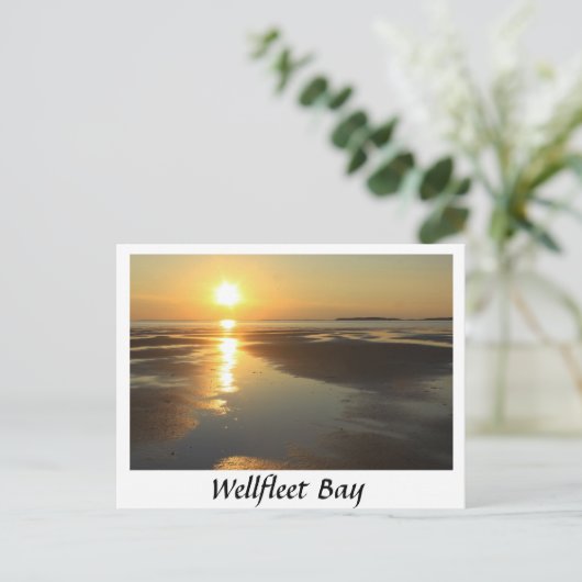 Wellfleet Bay sunset Cape Cod Briefkaart (Staand voorkant)