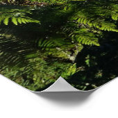 Wellington-kabelauto, Nieuw-Zeeland Poster (Hoek)