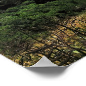 Wellington Nieuw-Zeeland Poster (Hoek)