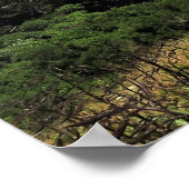 Wellington Poster (Hoek)