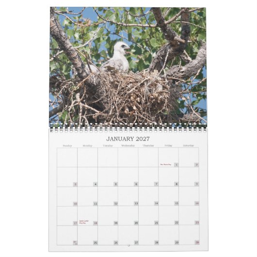Wells 2011 kalender (Jan 2027)