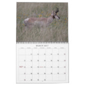 Wells 2011 kalender (Mar 2027)