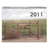 Wells 2011 kalender (Hoes)