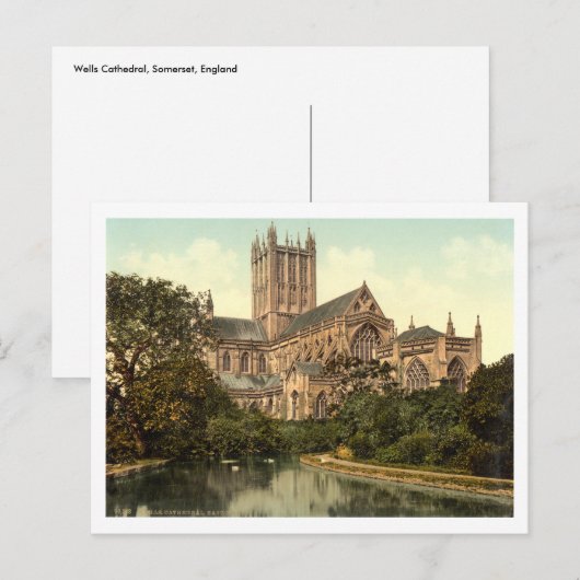 Wells Cathedral, Somerset, Engeland Briefkaart (Voorkant / Achterkant)
