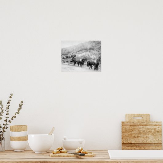 Wells Fargo Express Company Poster (Keuken)