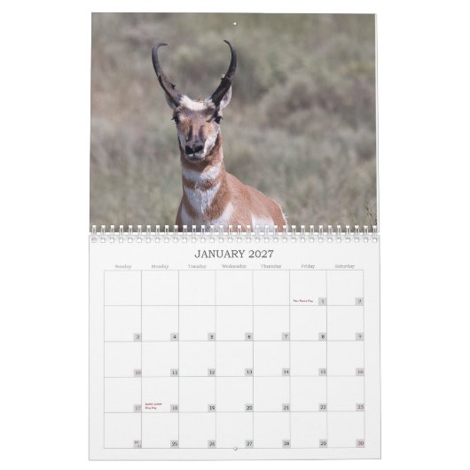 Wells Ranch 2012 Kalender (Jan 2027)