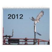 Wells Ranch 2012 Kalender (Hoes)