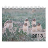 Wells Ranch 2013 Kalender (Hoes)