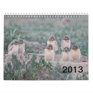 Wells Ranch 2013 Kalender