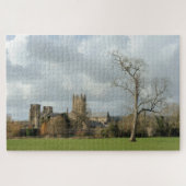 Wells Somerset UK The gothic Wells Cathedral . Legpuzzel (Horizontaal)