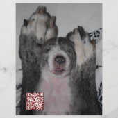 Welpe zum Verkauf Flyer Vorlagen (Achterkant)