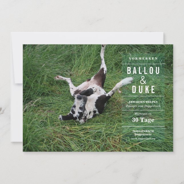 Welpen Ankündigung (Voorkant)