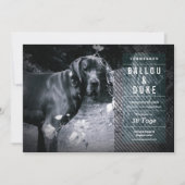 Welpen Ankündigung (Voorkant)