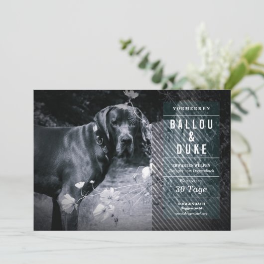 Welpen Ankündigung (Staand voorkant)