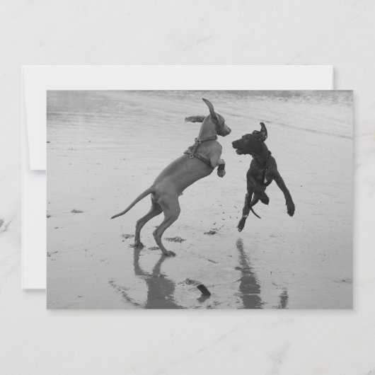 Welpen Ankündigung (Achterkant)