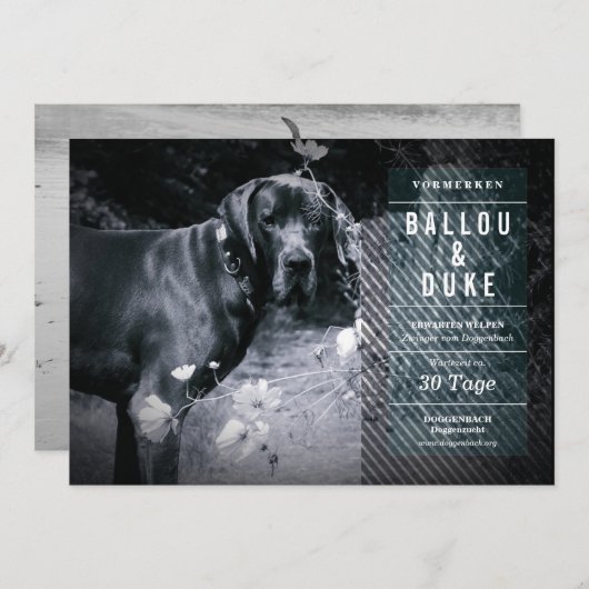 Welpen Ankündigung (Voorkant / Achterkant)