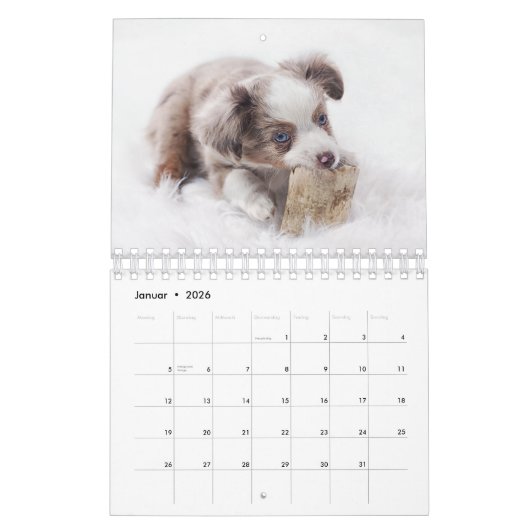 Welpen Kalender (Jan 2026)