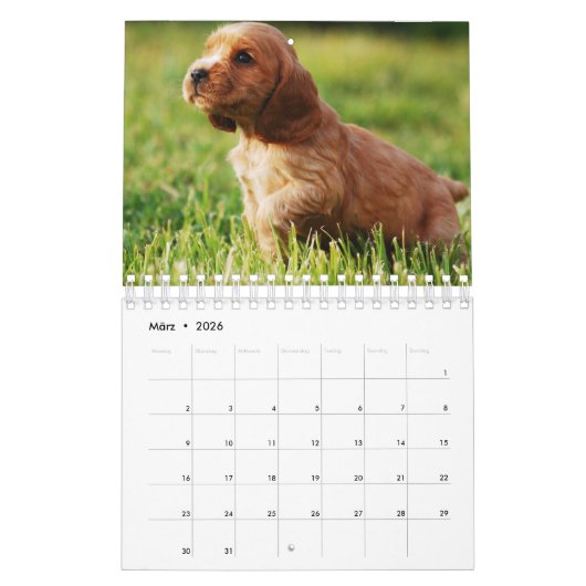 Welpen Kalender (Mar 2026)