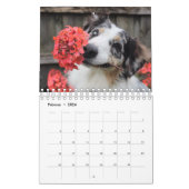 Welpen Kalender (Feb 2026)