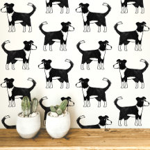 Wels Border Collie Hond Patroon