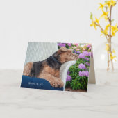 Wels Terrier op rieten stoelverjaardag Kaart (Gele Bloem)