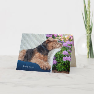 Wels Terrier op rieten stoelverjaardag Kaart