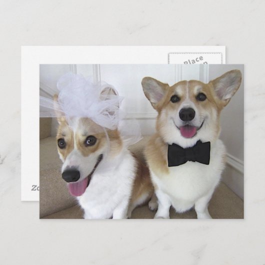 WELSE BRUID CORGI EN BRUIDEGOM BRIEFKAART (Voorkant / Achterkant)