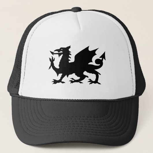 Welse Draak Trucker Pet (Voorkant)