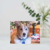 Welse Kerstmis Corgi van Pembroke Feestdagenkaart (Staand voorkant)