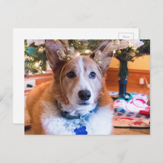 Welse Kerstmis Corgi van Pembroke Feestdagenkaart (Voorkant / Achterkant)