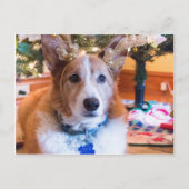 Welse Kerstmis Corgi van Pembroke Feestdagenkaart (Voorkant)