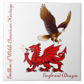 Welsh-American Collector's Tile Tegeltje (Voorkant)