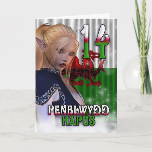 Welsh Birthday Kaart, Penblwydd Hapus 14 Kaart (Voorkant)