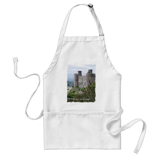WELSH CASTLES STANDAARD SCHORT (Voorkant)