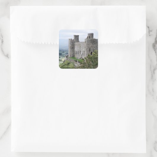 WELSH CASTLES VIERKANTE STICKER (Tas)